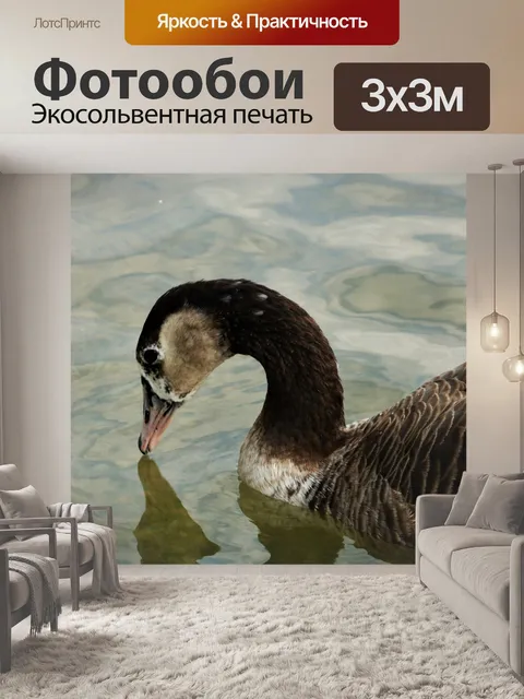 Фотообои Бурый гусь и отражение