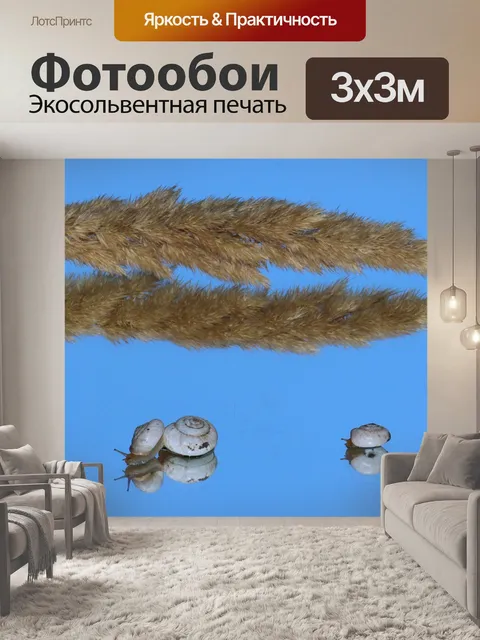 Фотообои Улитки