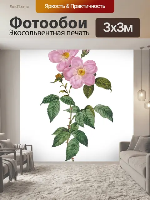 Фотообои Винтажная иллюстрация цветка розы