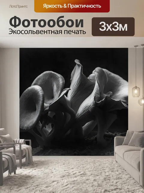 Фотообои Устрица