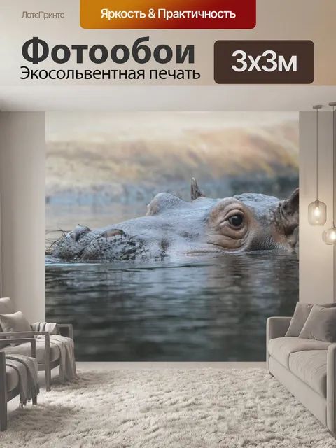 Фотообои Бегемот