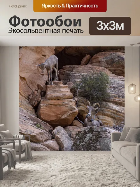 Фотообои Снежный баран
