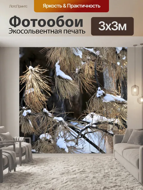 Фотообои Снег посыпал Браун сосновых игл