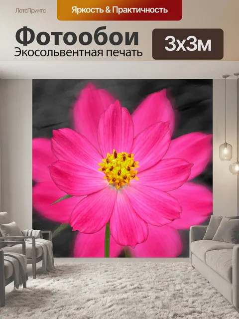 Фотообои Цветок