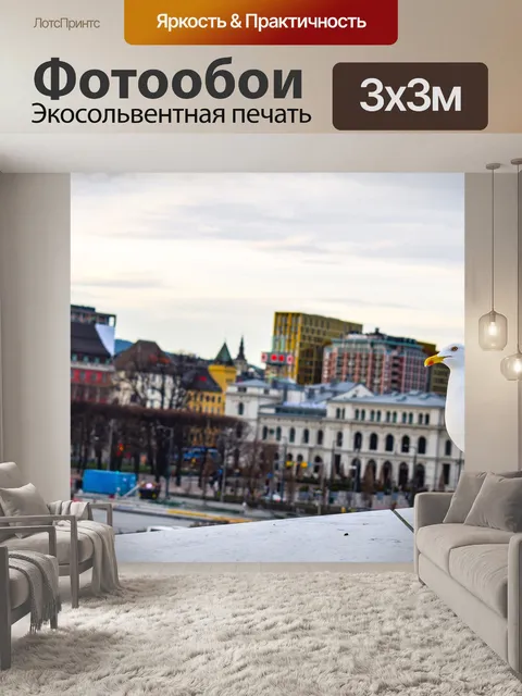 Фотообои Чайка