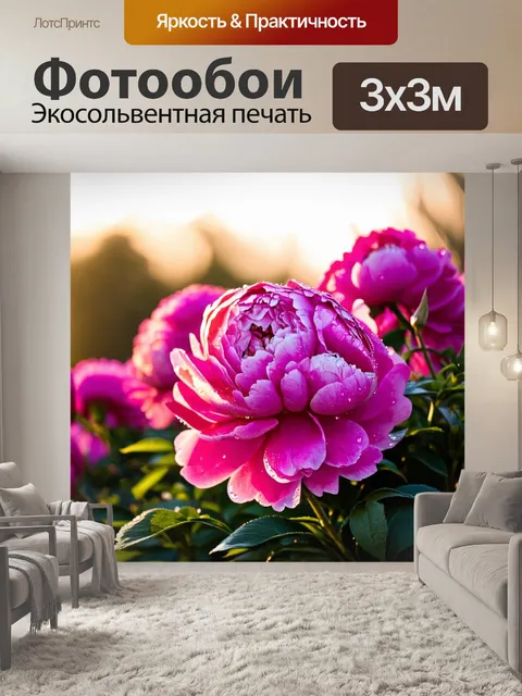 Фотообои с пионами на фоне утреннего света