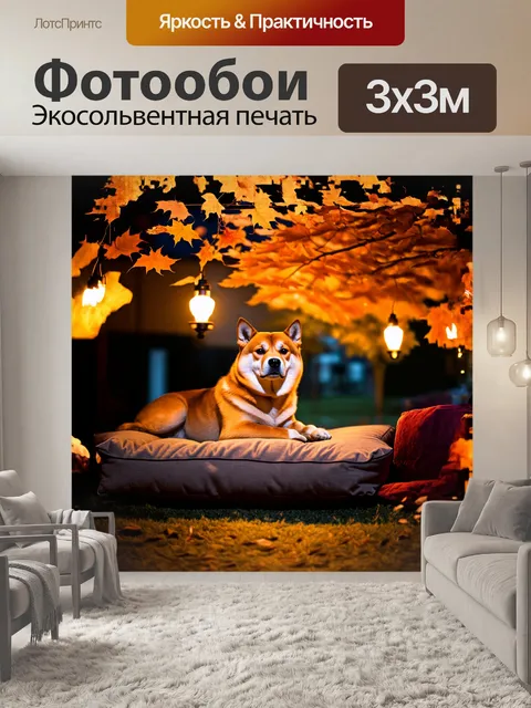 Фотообои на уютной террасе сиба ину удобно устроилась на подушках и внимательно наблюдает за падающими листьями осени