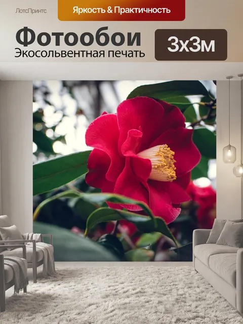 Фотообои Красный