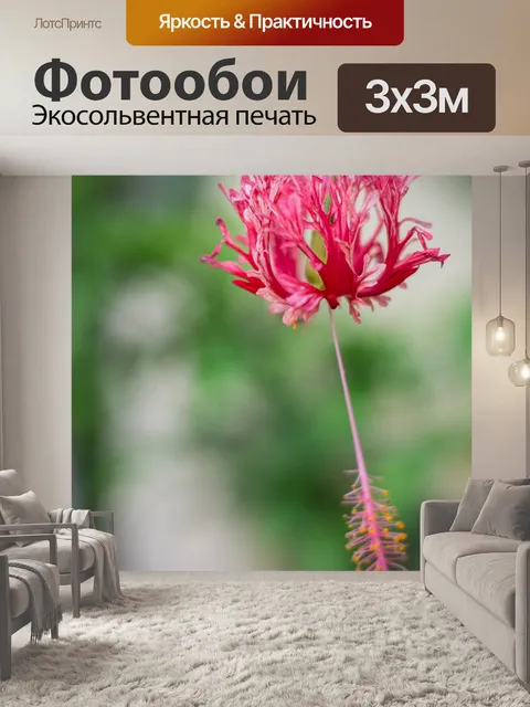 Фотообои Цветок