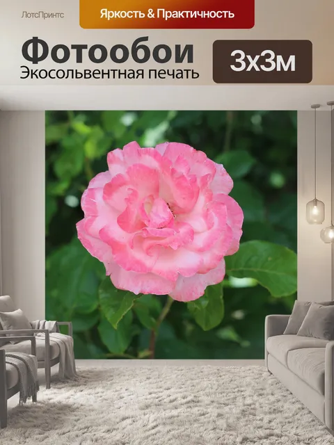 Фотообои Бледно розовый