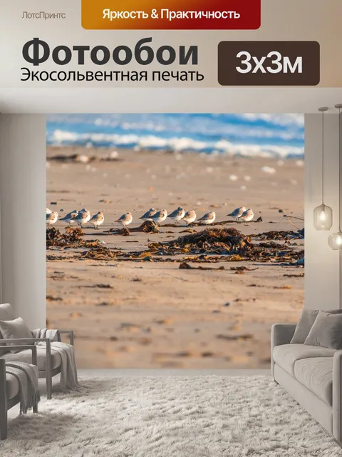 Фотообои Птица