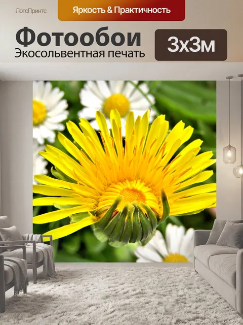 Фотообои Одуванчик