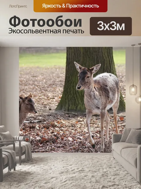 Фотообои Олень