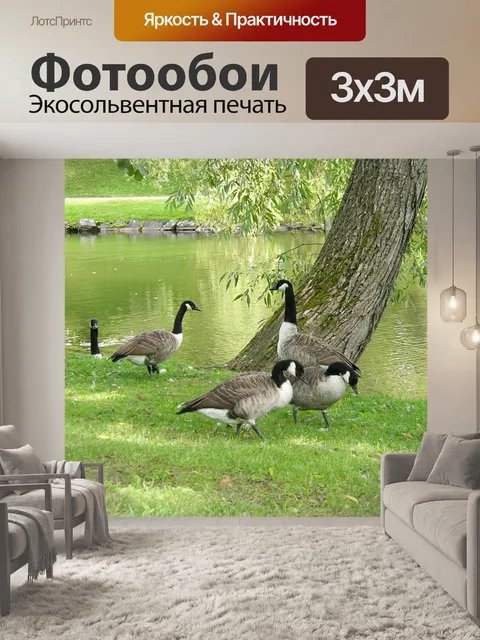 Фотообои Птицы