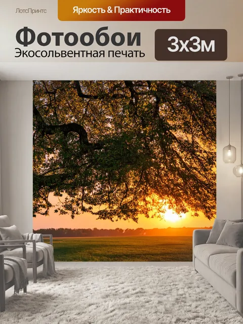 Фотообои закат, переплетение ветвей раскидистого дерева, мягкость вечернего света, создание необычной тени…