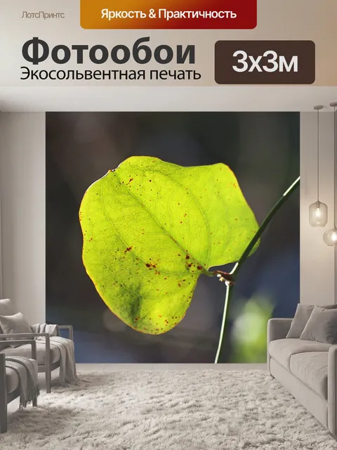 Фотообои Лист