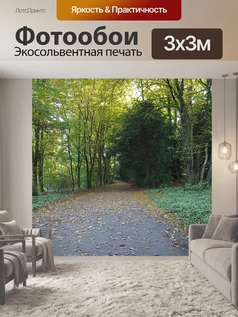 Фотообои Осенний лес