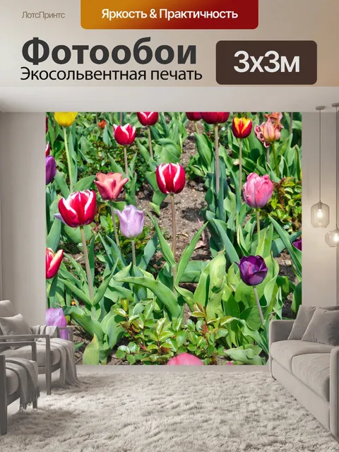 Фотообои Тюльпаны