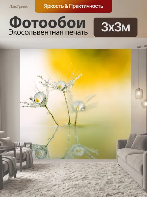 Фотообои Одуванчик