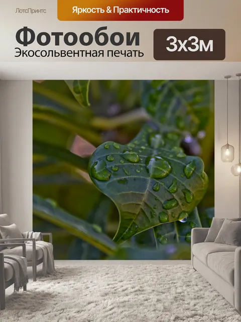 Фотообои Темные листья и капли воды