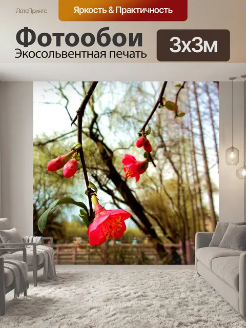 Фотообои Весна