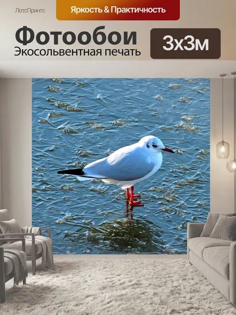 Фотообои Природа