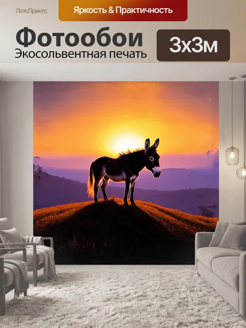 Фотообои ишак, погружённый в мир вечернего заката, стоит на холме, его силуэт обрисовывается яркими оттенками…
