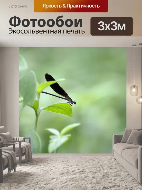 Фотообои Бабочка
