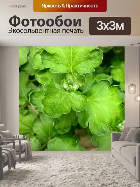 Фотообои Лист