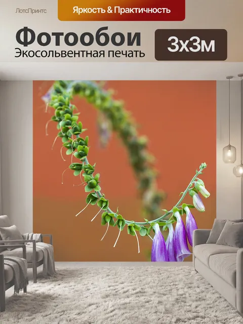 Фотообои Цветы