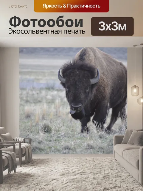Фотообои Озеро