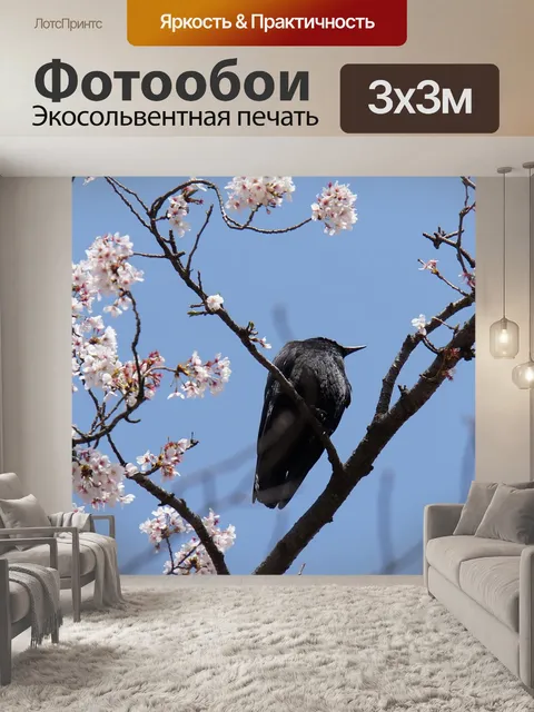 Фотообои Ворона