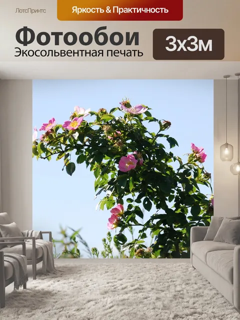 Фотообои Шиповник