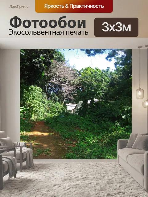 Фотообои взгляд на бунгало