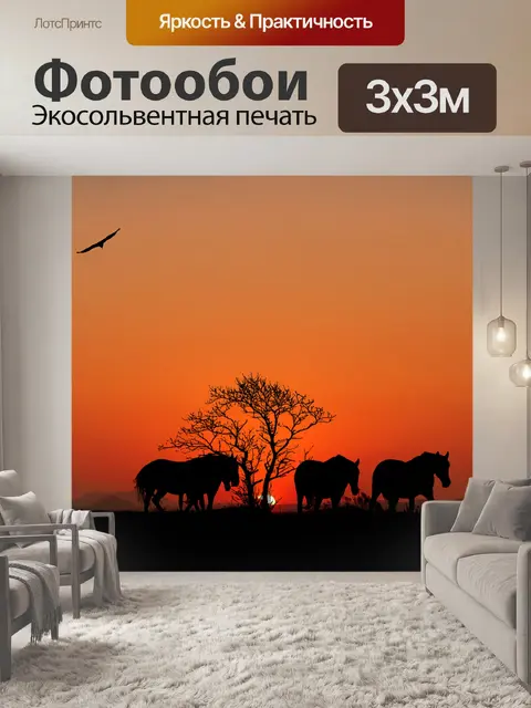 Фотообои Заход солнца