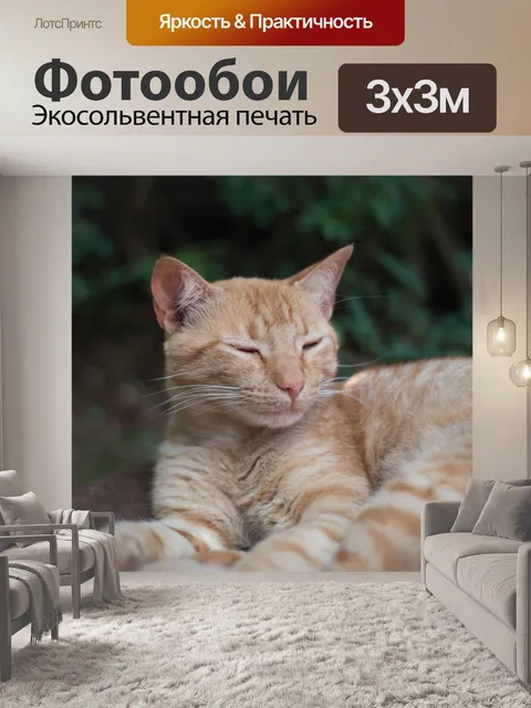 Фотообои Кошки