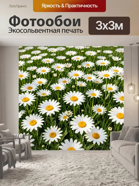 Фотообои Белые ромашки на лугу