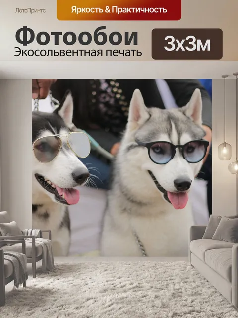 Фотообои Хаски