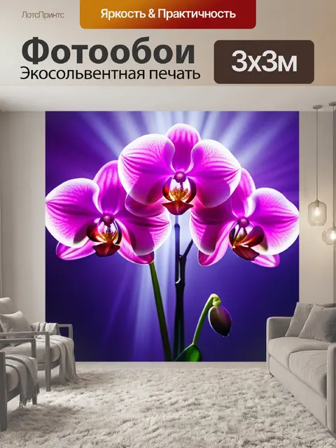 Фотообои с орхидеей
