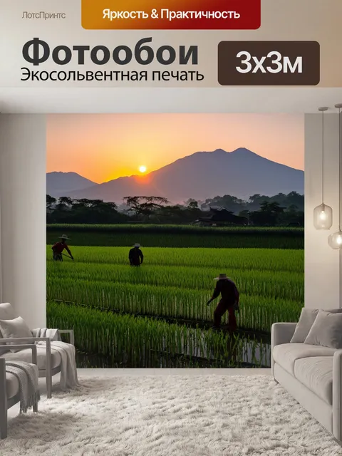 Фотообои япония показывают великолепный закат над рисовыми полями, где отражения гор создают гламурный эффект