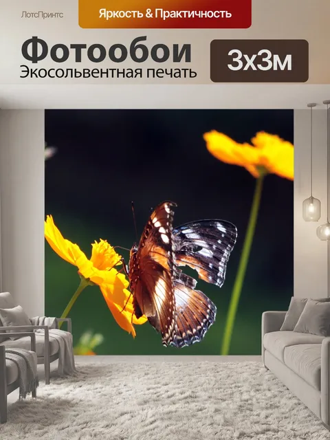 Фотообои Бабочка