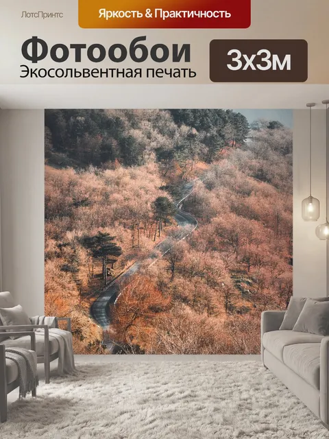 Фотообои Дорога