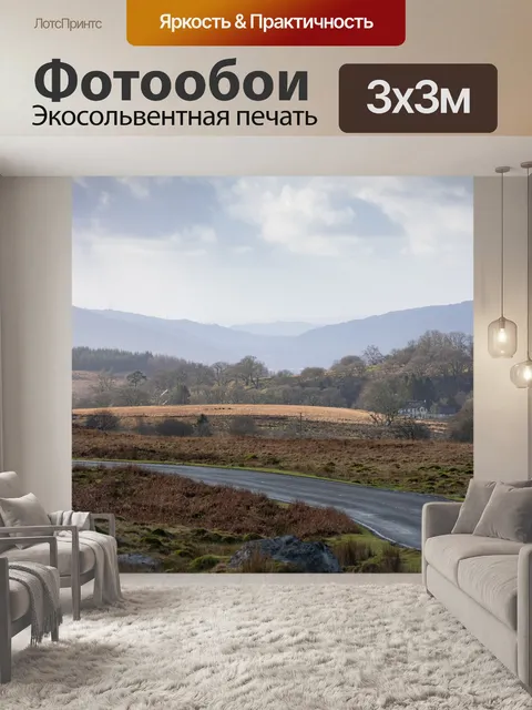 Фотообои Дорога