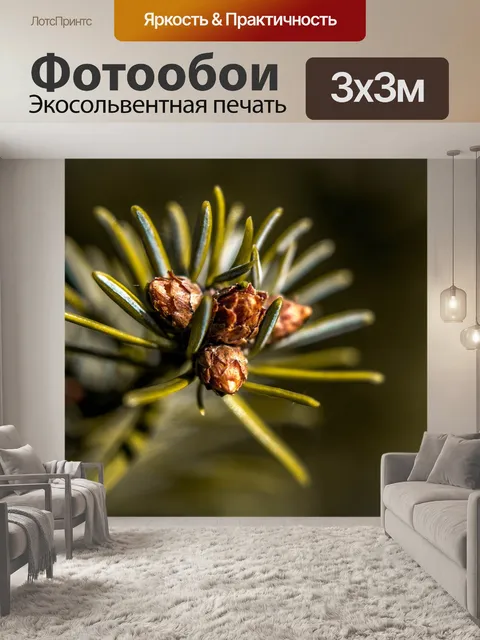 Фотообои Ель