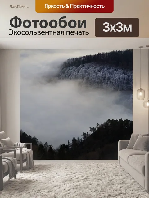 Фотообои Иней