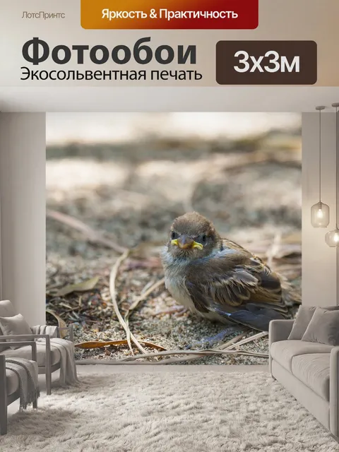 Фотообои Птичка