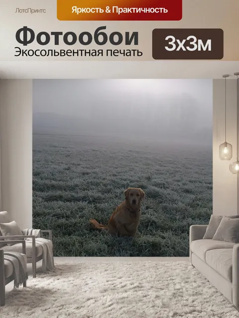 Фотообои Открытка мотив