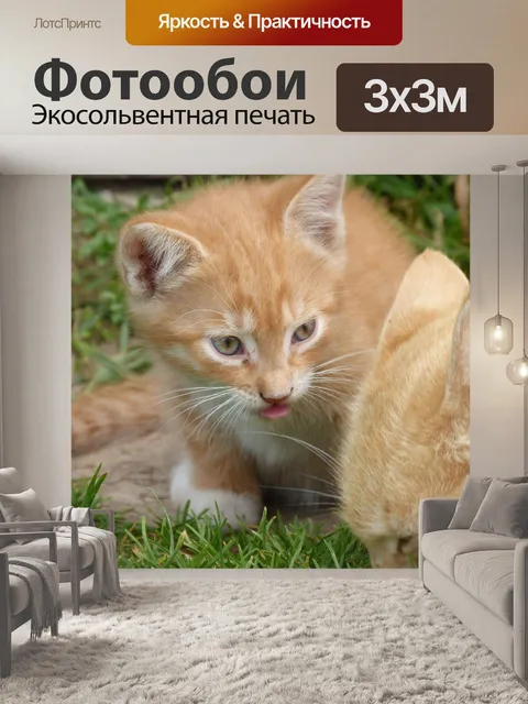 Фотообои Малые