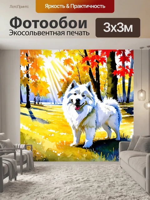 Фотообои самоед, охраняющий свою территорию на фоне осеннего леса с разноцветными листьями
