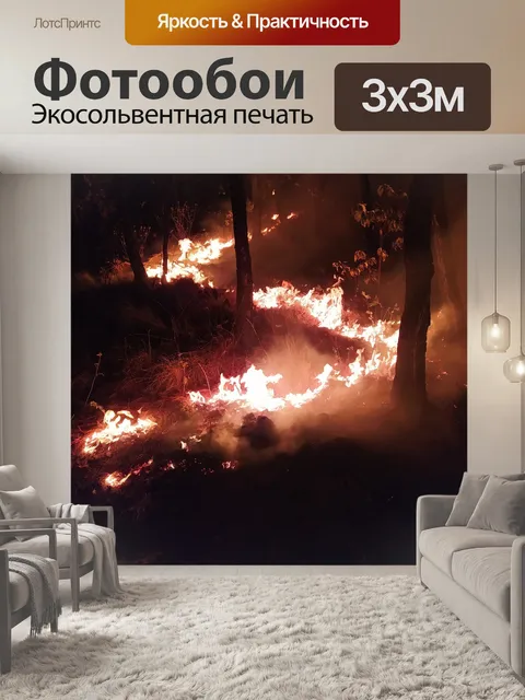 Фотообои Лес